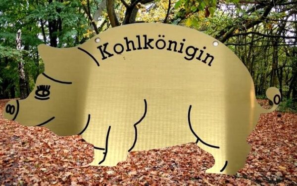 KOHLORDEN -Die Hübsche- – Bild 2